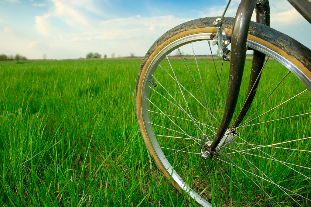 Fietsroutes | Fietsend of wandelend ontdekt u de Westhoek een gebied met prachtige natuur en een betoverend landschap.
